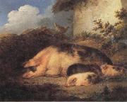 George Morland A Sow and Her Piglets china oil painting reproduction